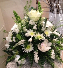 White Posy